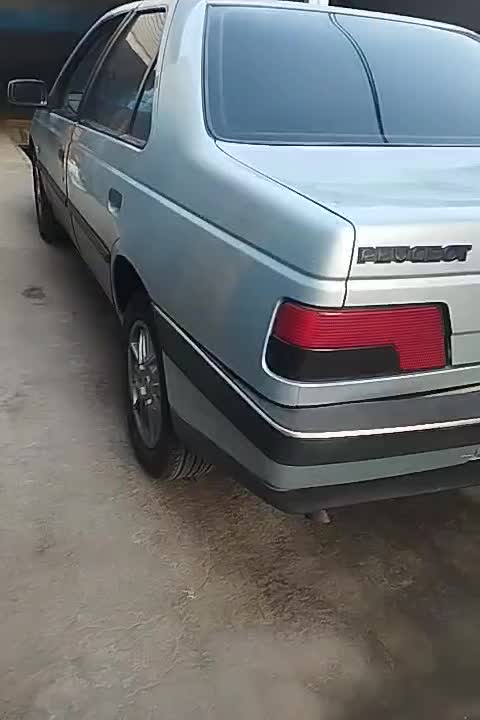 خودرو پژو، 405 آگهی ann_19340961