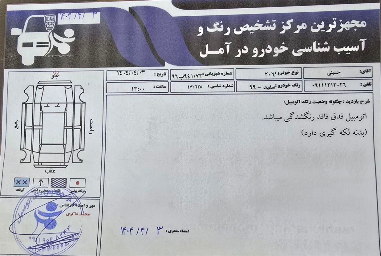 پژو 206 تیپ 2 - 1399