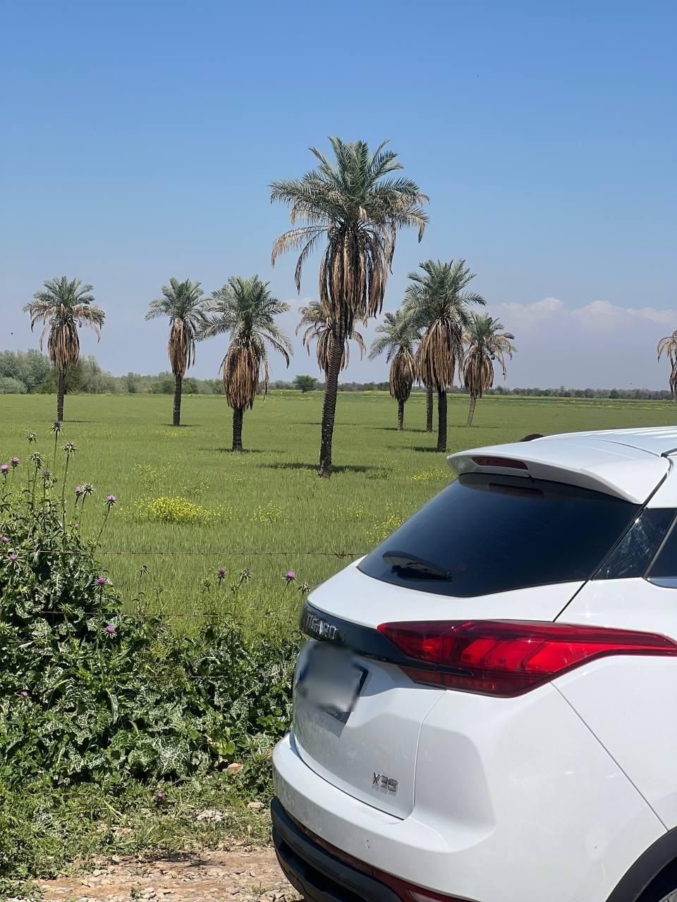 تیگارد X35 ساده - 1404