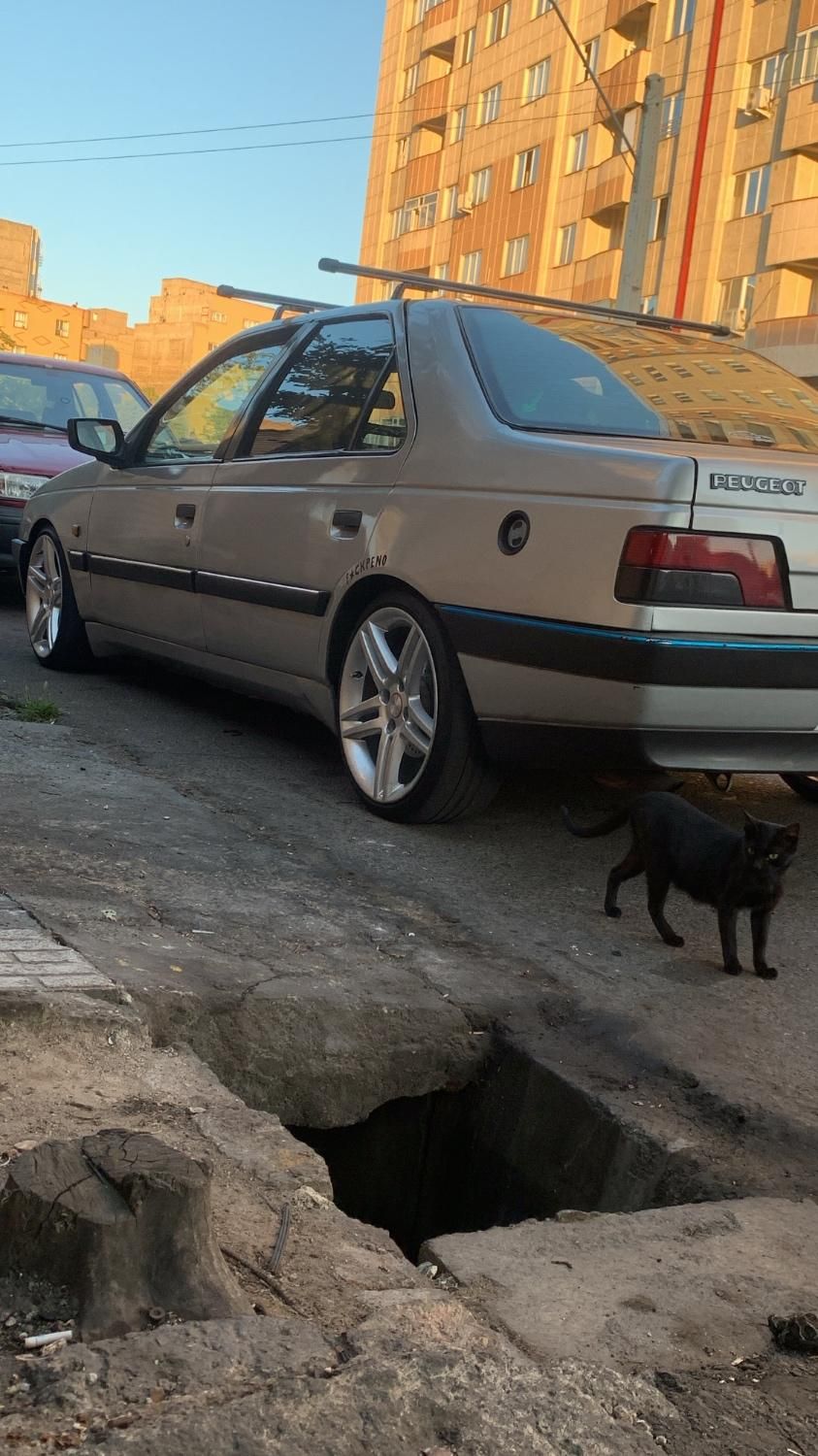 پژو 405 GLX - دوگانه سوز - 1389