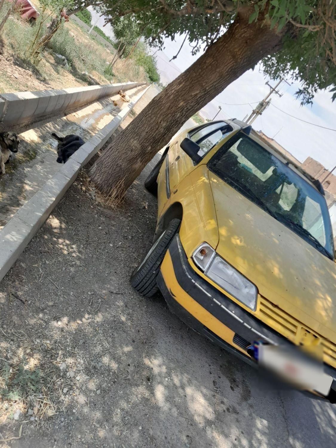 پژو 405 GL - دوگانه سوز CNG - 1370