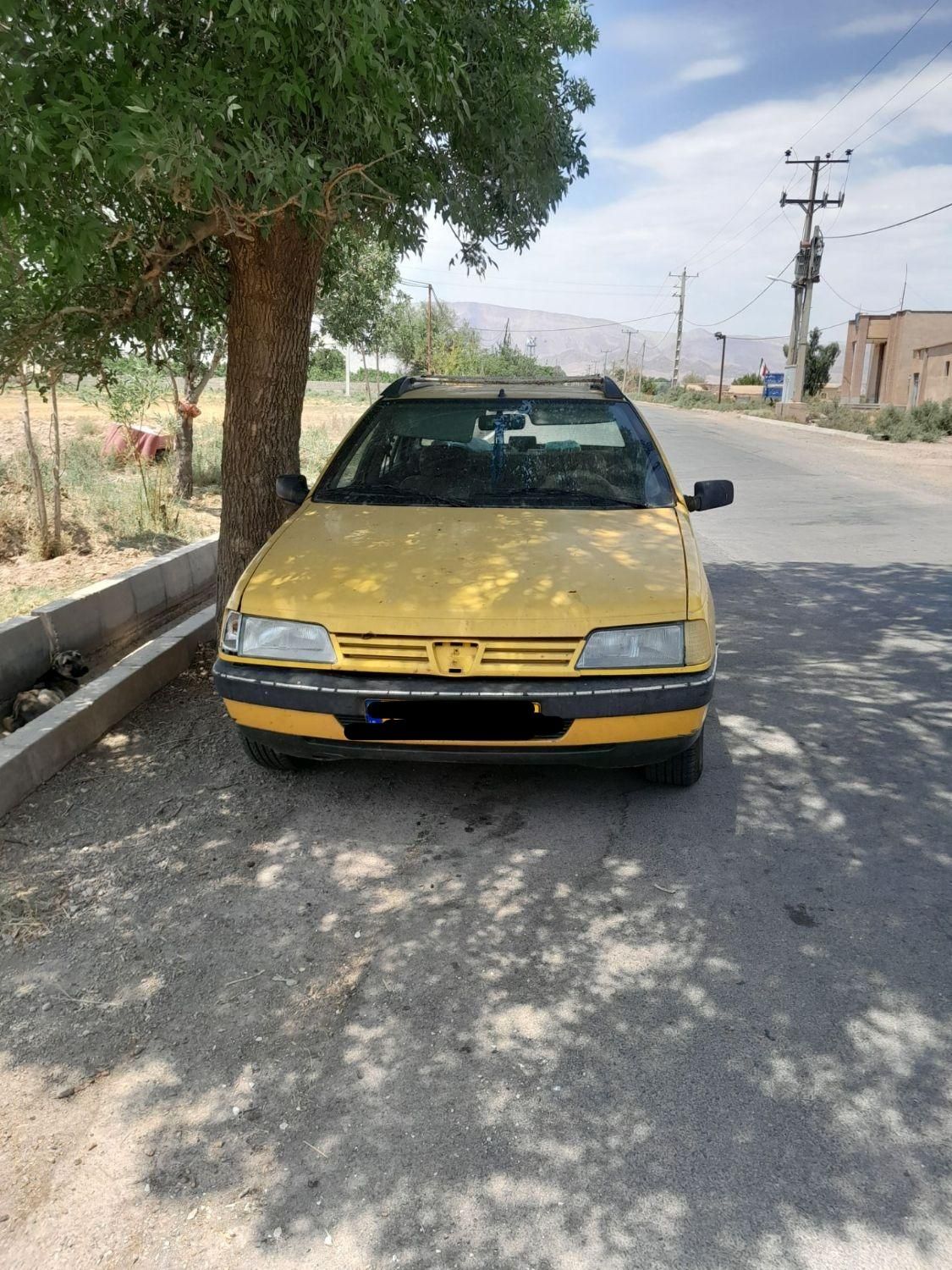 پژو 405 GL - دوگانه سوز CNG - 1370