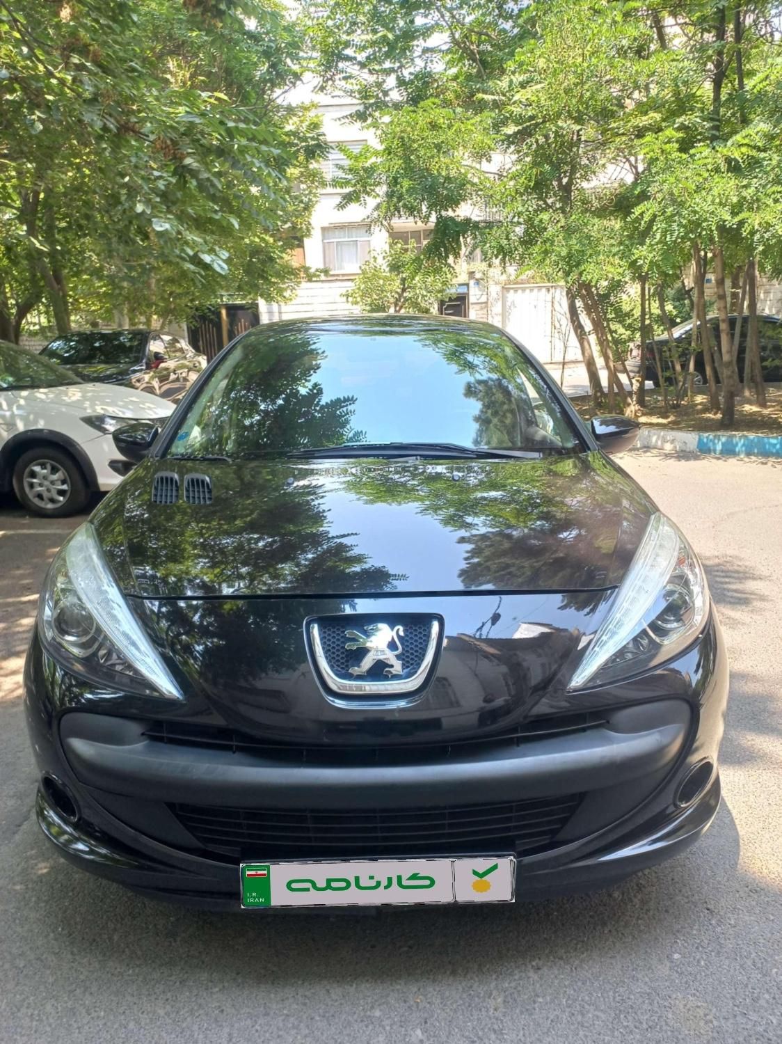 خودرو پژو، 207 آگهی ann_19346515