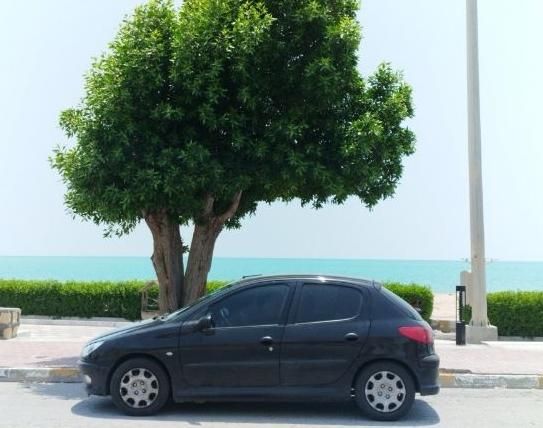 خودرو پژو، 206 آگهی ann_19346836