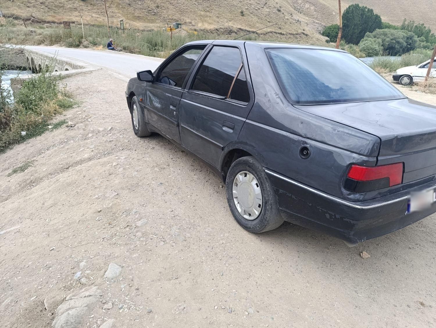 پژو 405 GLX - دوگانه سوز - 1384