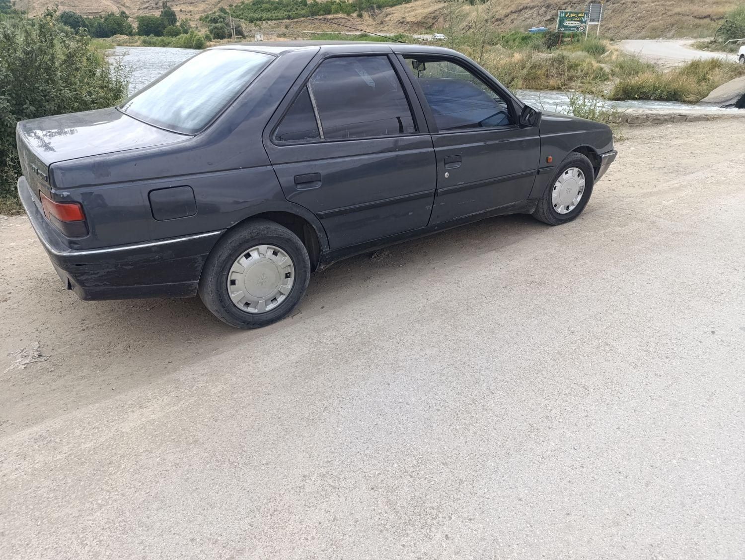 پژو 405 GLX - دوگانه سوز - 1384