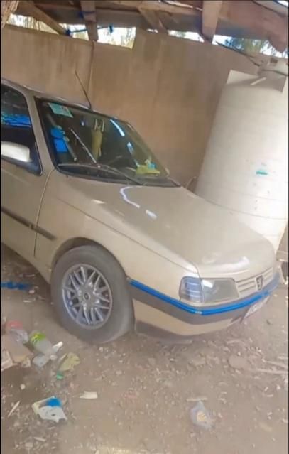 پژو 405 GL - 1373