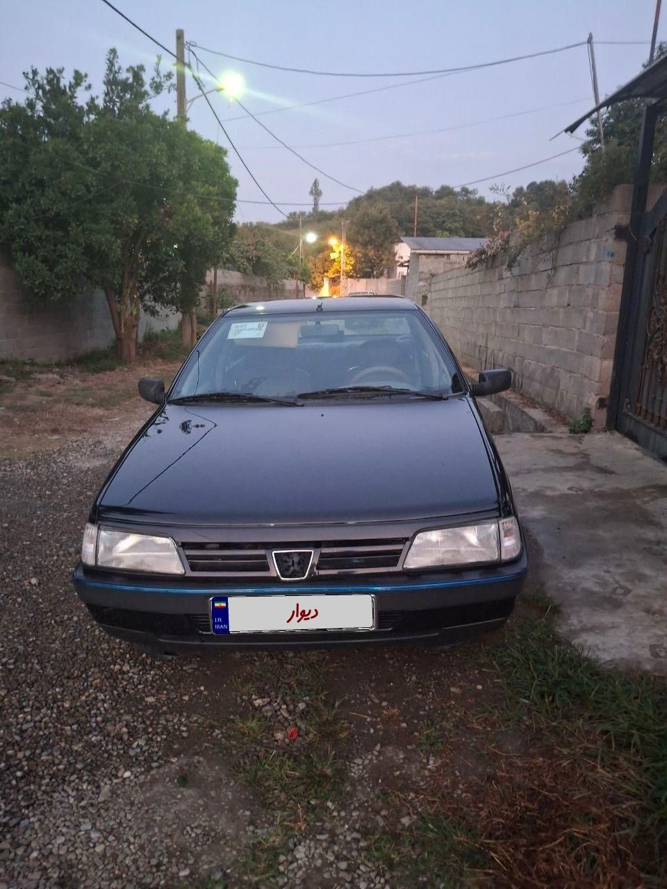 پژو 405 GLX - دوگانه سوز - 1390