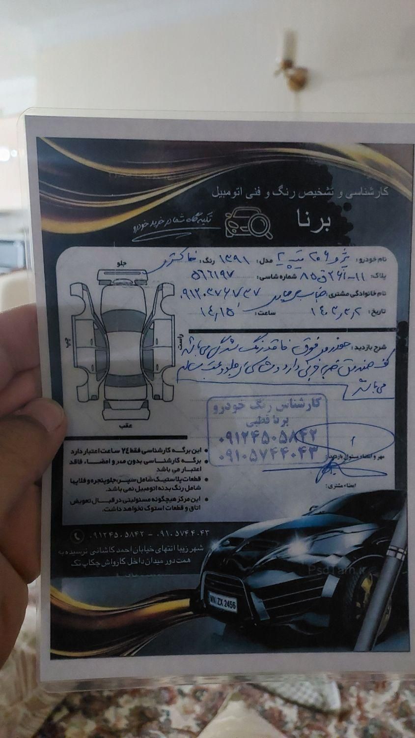 پژو 206 تیپ 2 - 1391