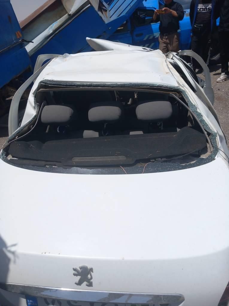پژو ۲۰۶ صندوق دار v8 - 1391