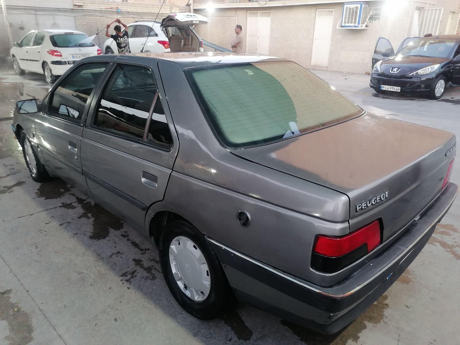 پژو 405 GLX - دوگانه سوز - 1389