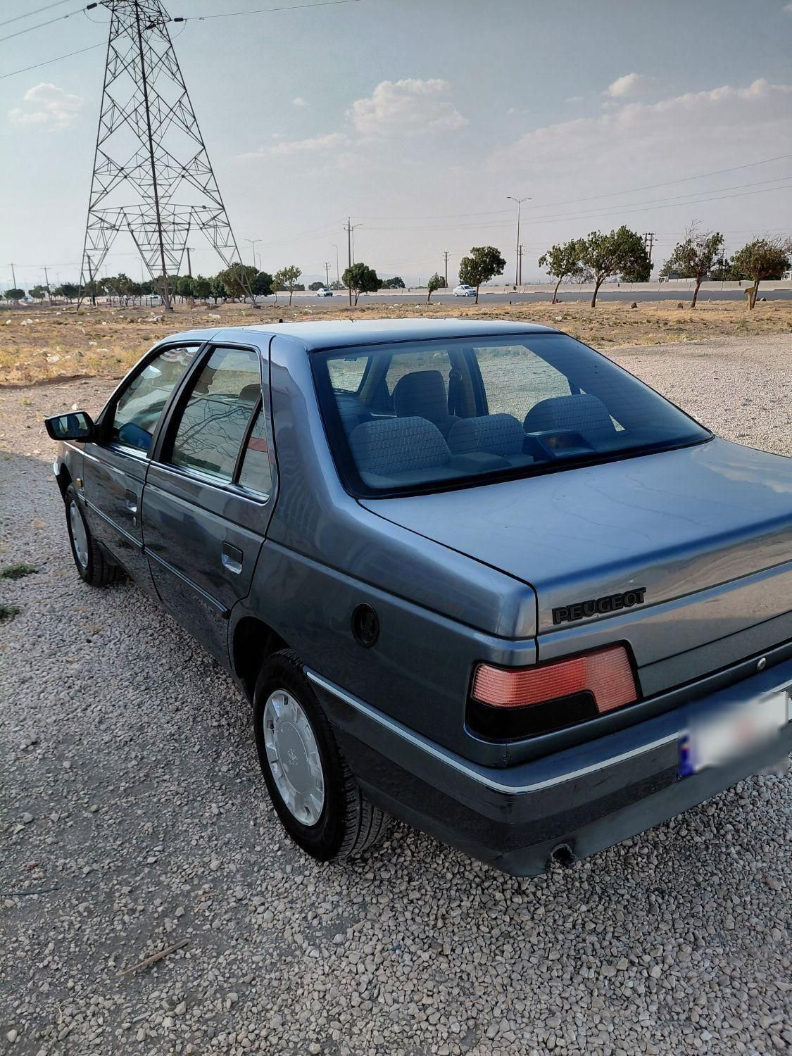 پژو 405 GLX - دوگانه سوز - 1396