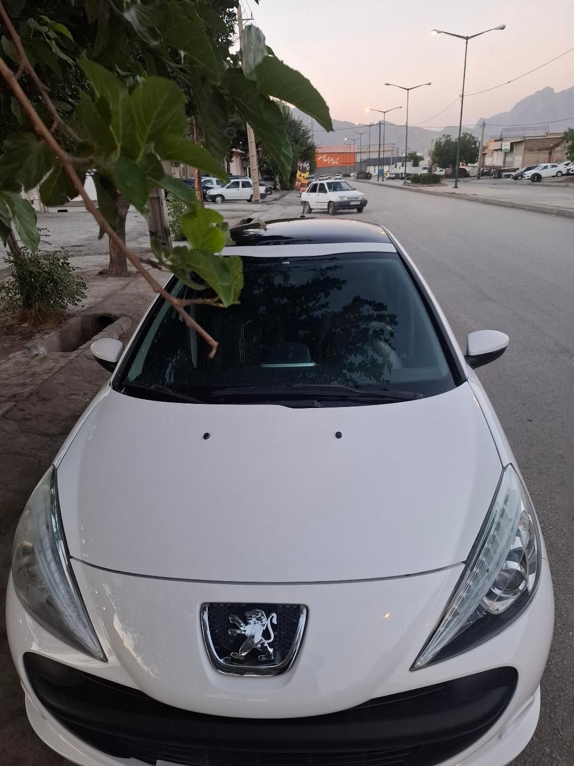 خودرو پژو، 207 آگهی ann_19361311