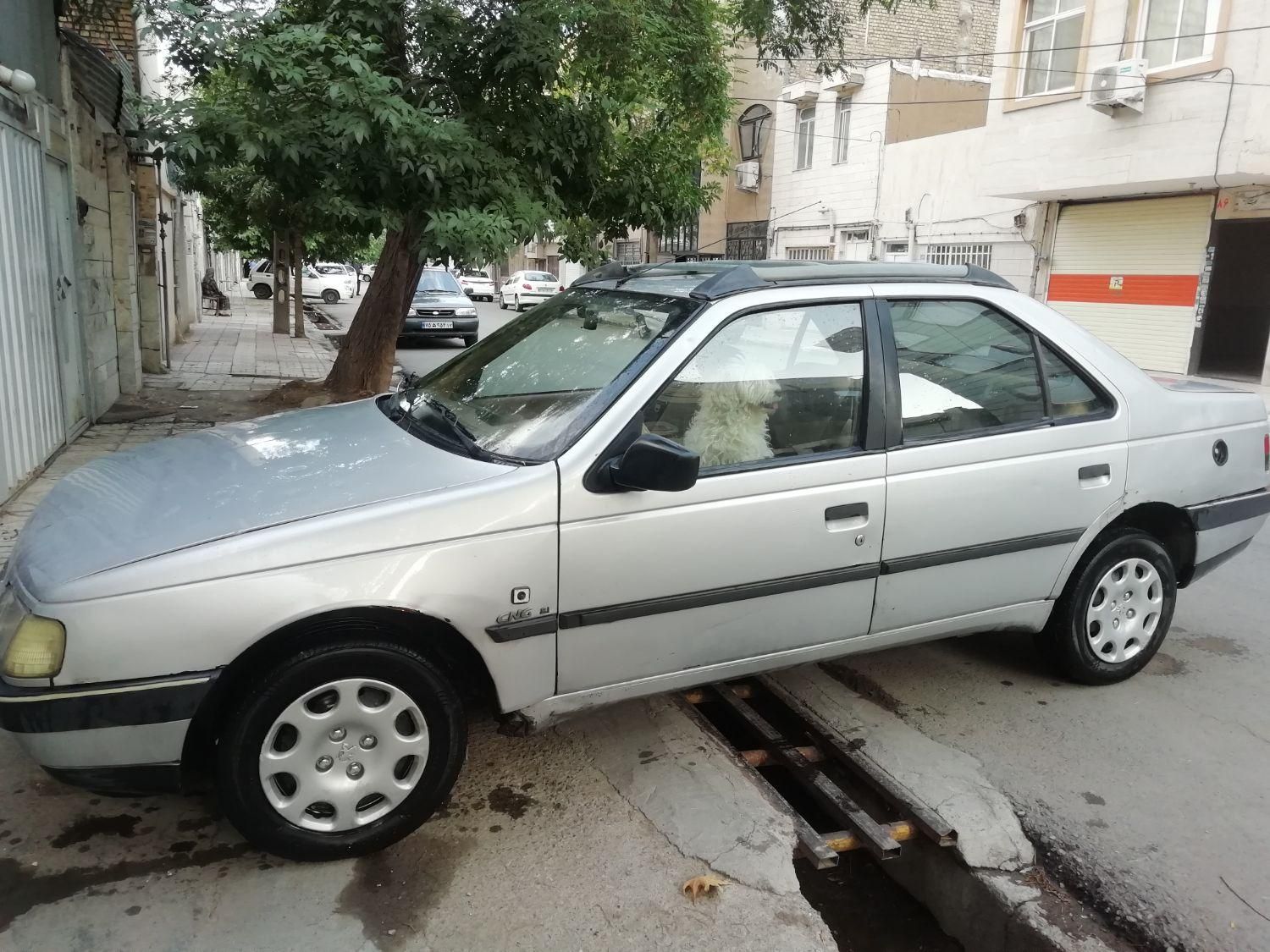 پژو 405 GL - دوگانه سوز CNG - 1373