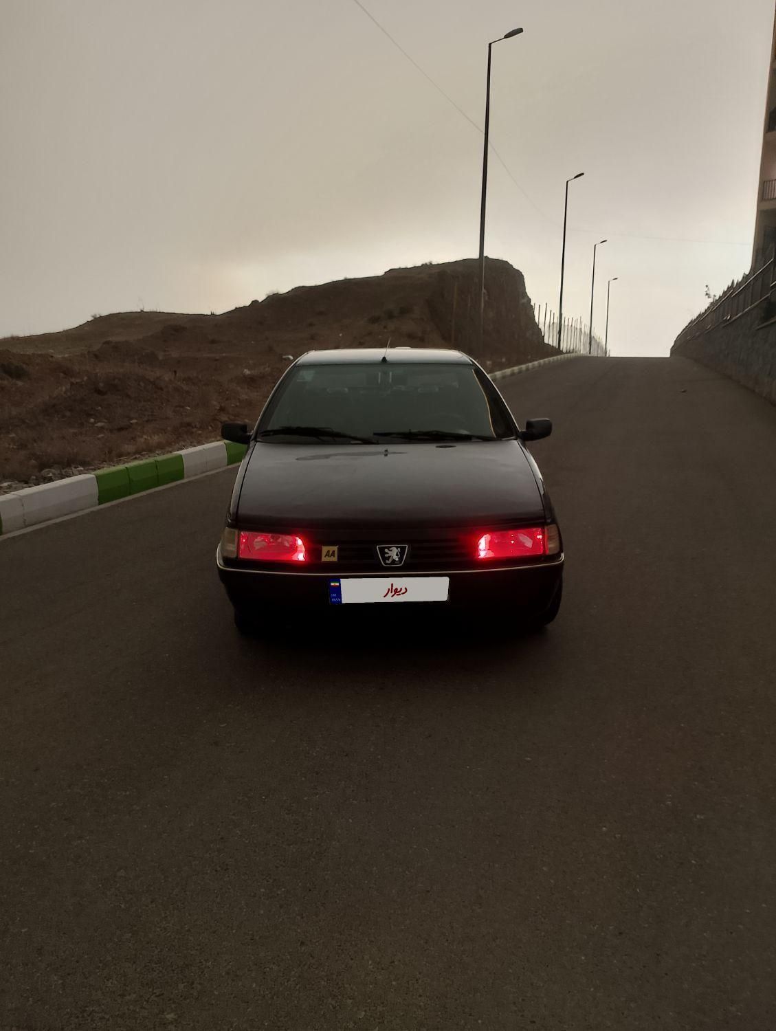 خودرو پژو، 405 آگهی ann_19361686