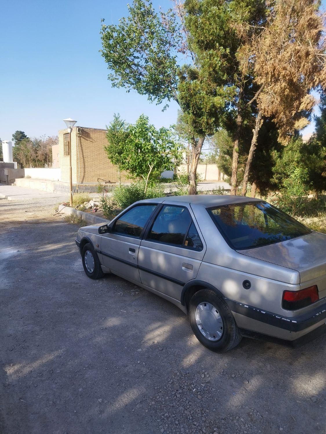 پژو 405 GLX - دوگانه سوز - 1388