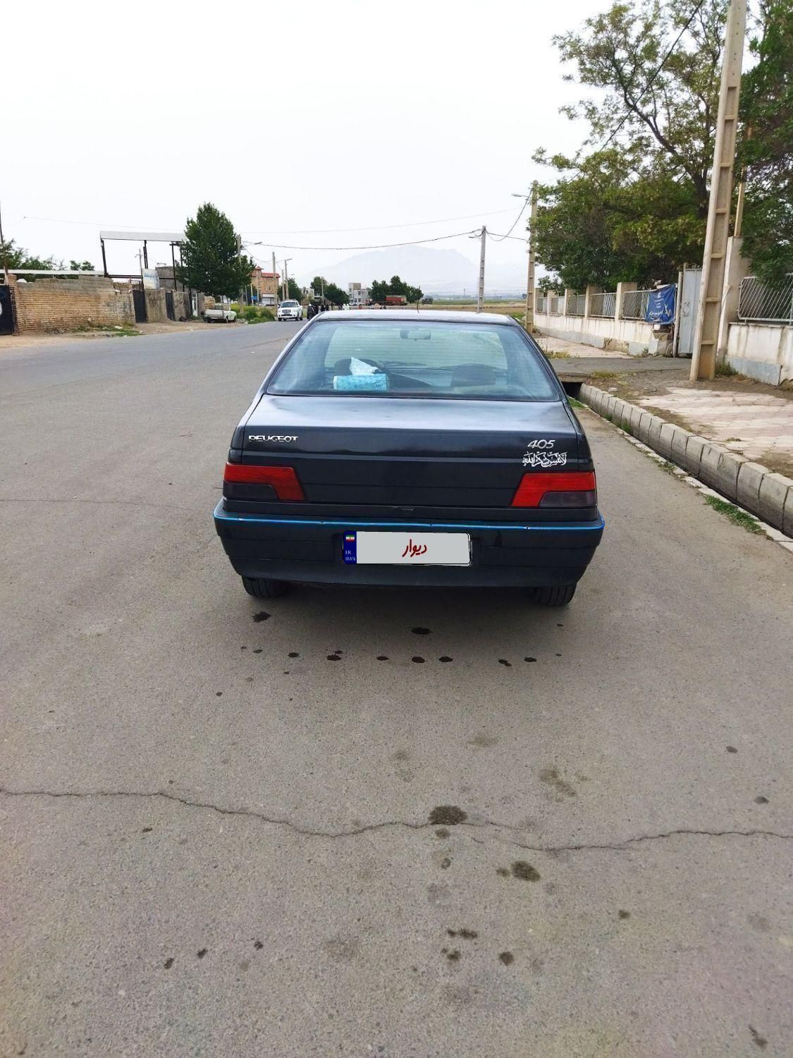 پژو 405 GLI - دوگانه سوز CNG - 1384