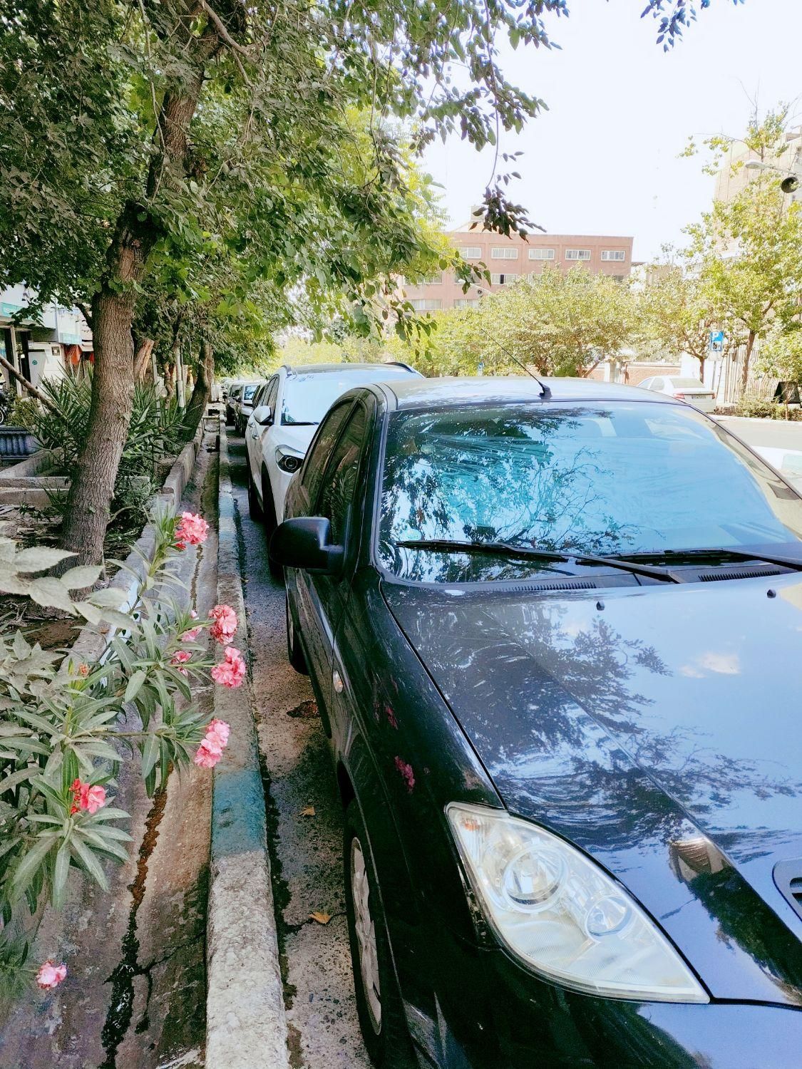 تیبا 2 EX رینگ آلومینیومی - 1400
