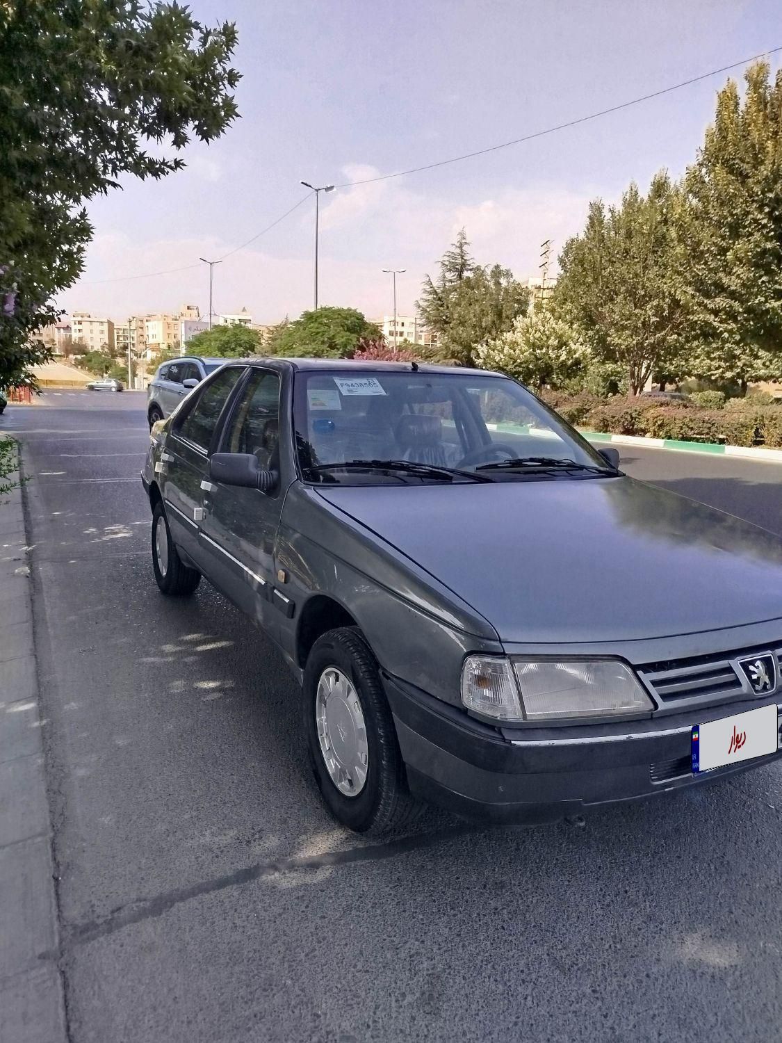 پژو 405 GLX - دوگانه سوز - 1391