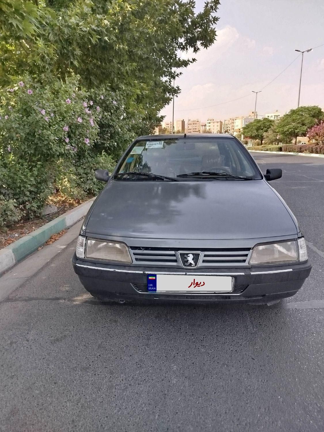 پژو 405 GLX - دوگانه سوز - 1391