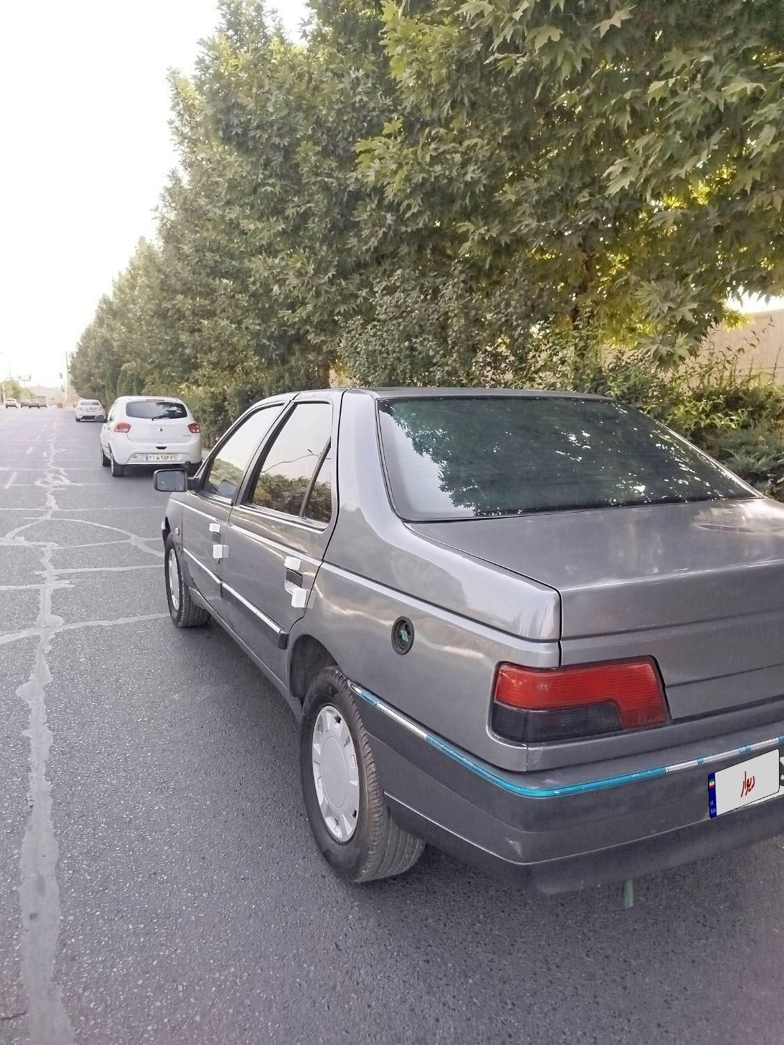 پژو 405 GLX - دوگانه سوز - 1391