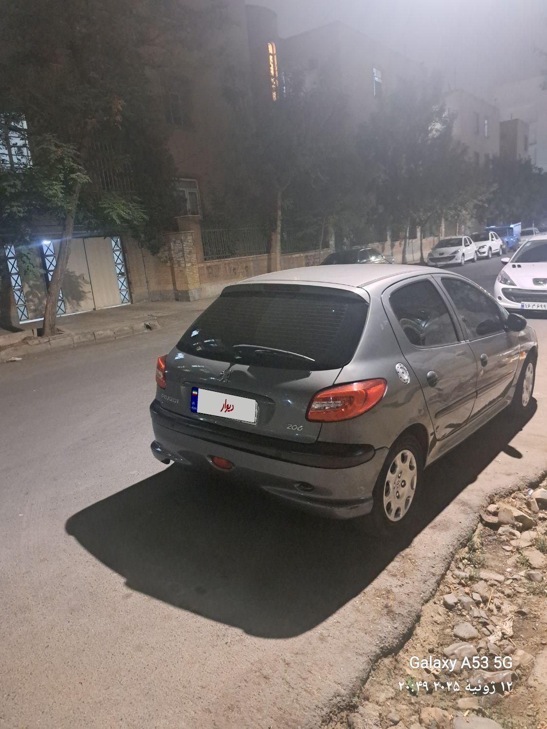 پژو 206 تیپ 5 - 1394