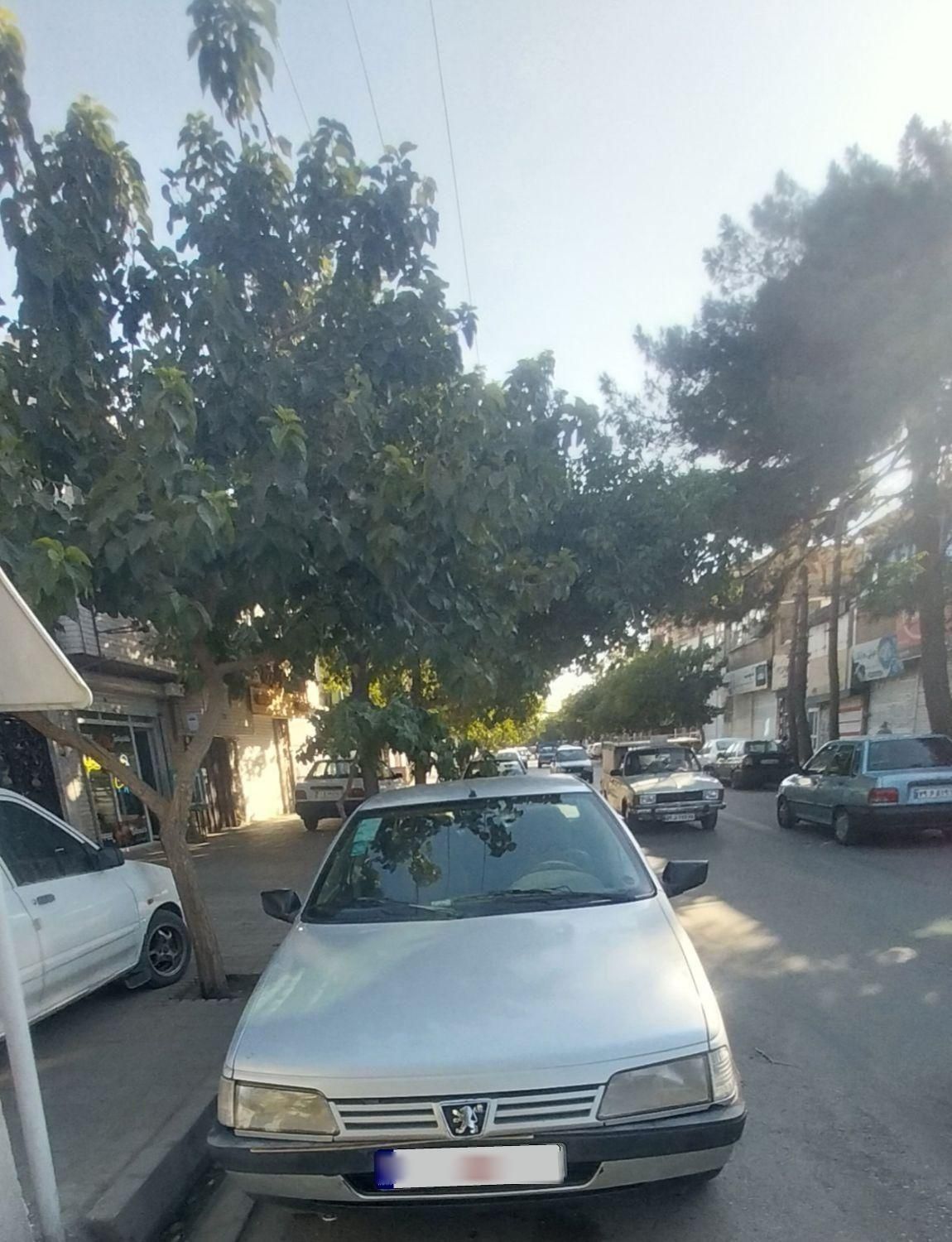 پژو 405 GL - دوگانه سوز CNG - 1373