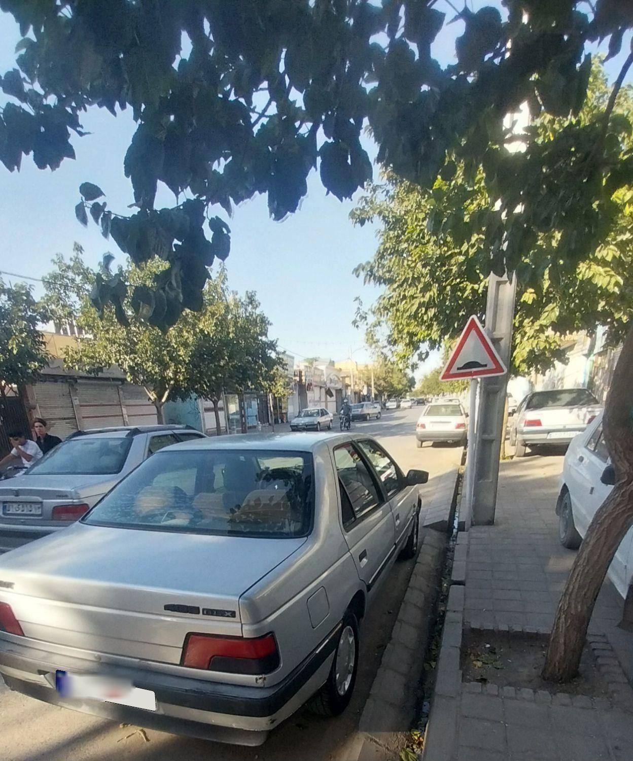 پژو 405 GL - دوگانه سوز CNG - 1373