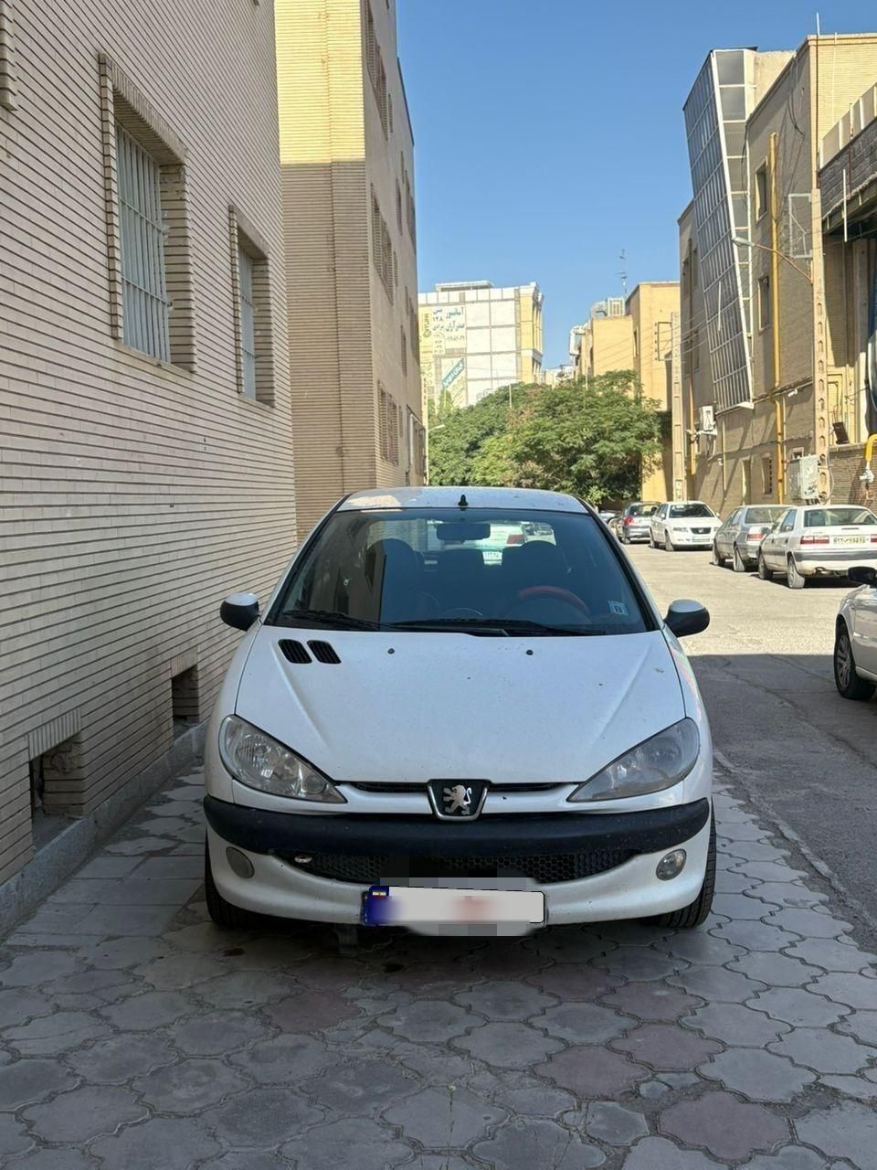 پژو 206 تیپ 5 - 1394