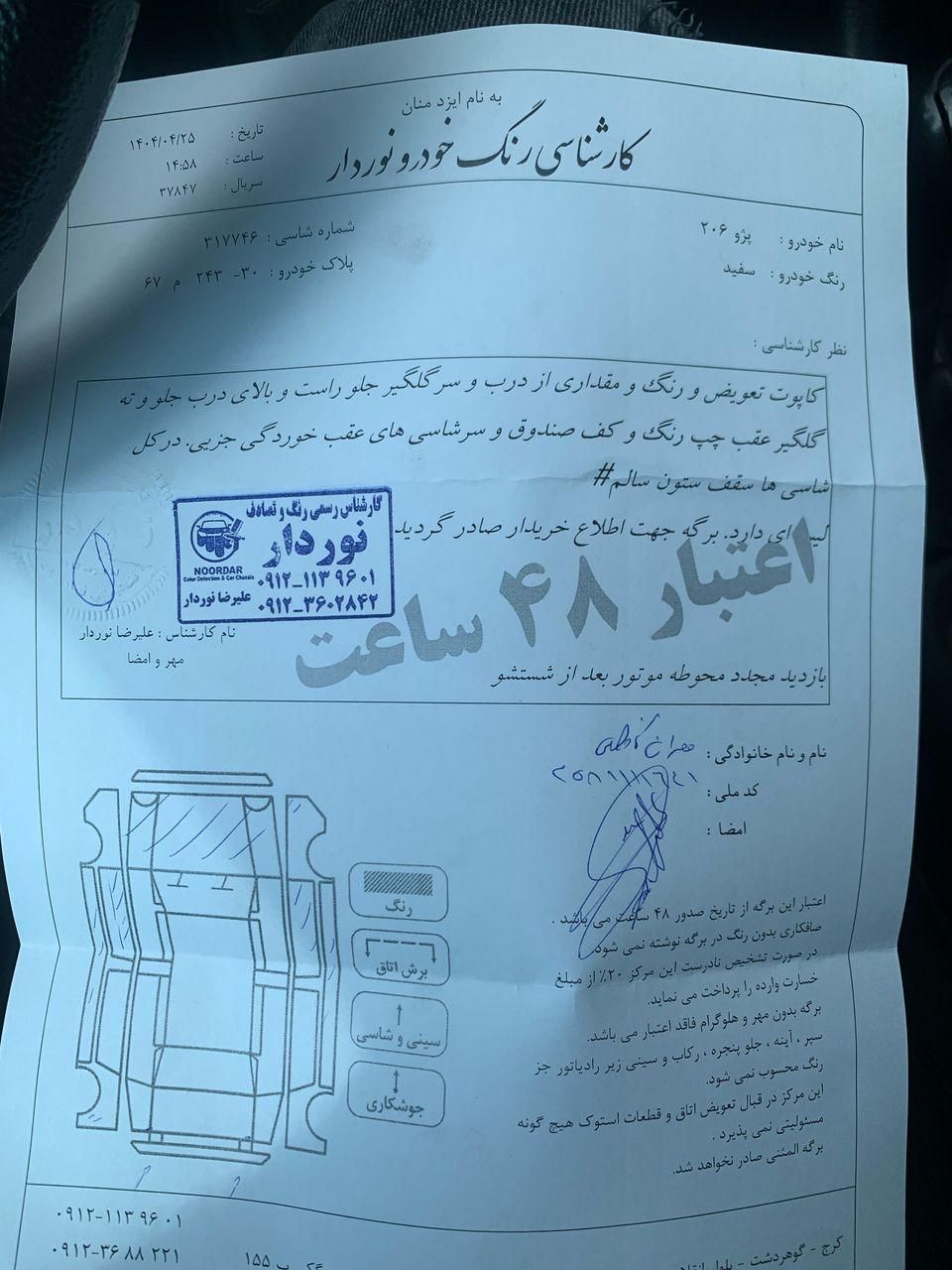 پژو 206 تیپ 5 - 1394