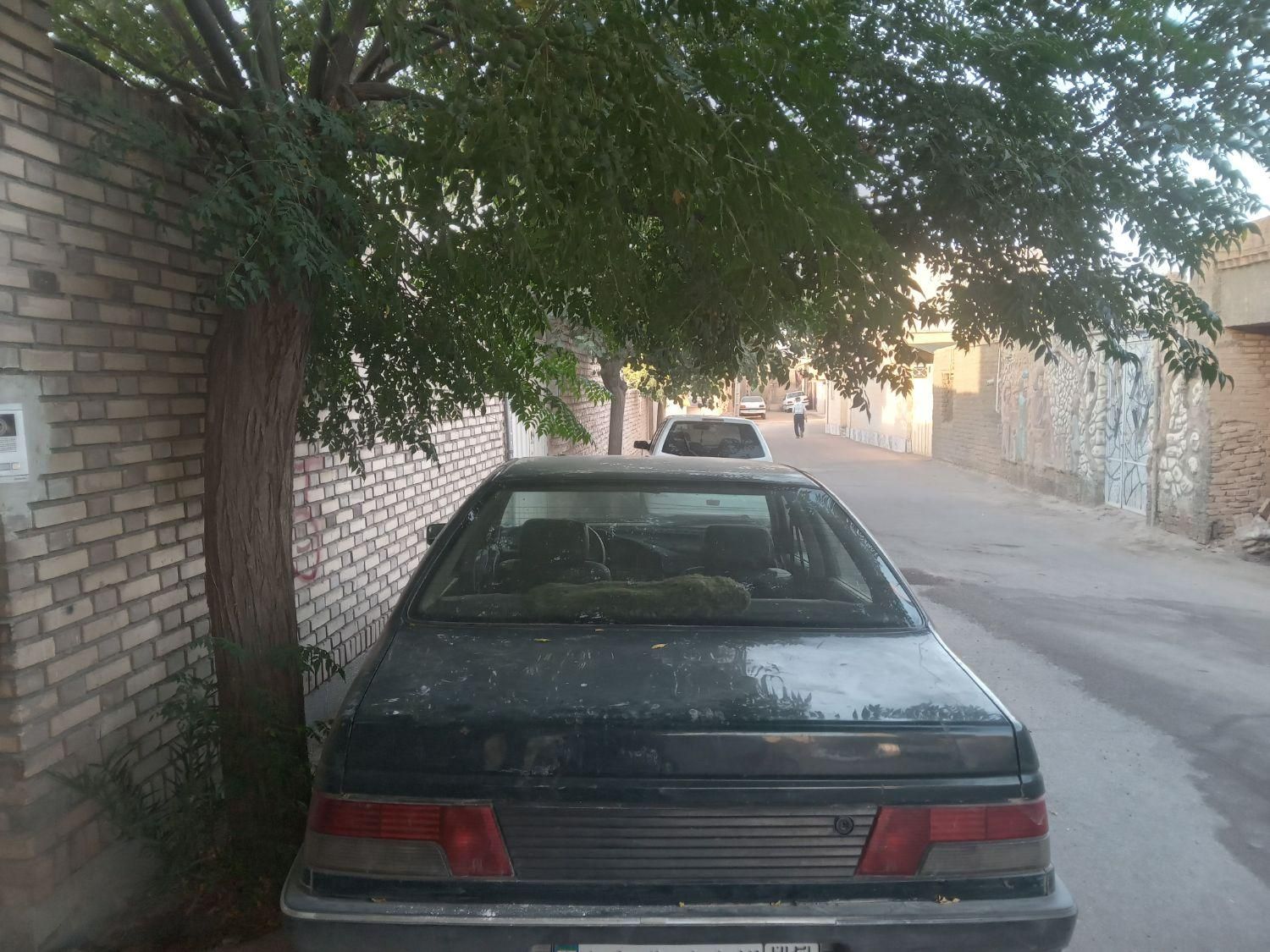 پژو آردی RDI - 1384