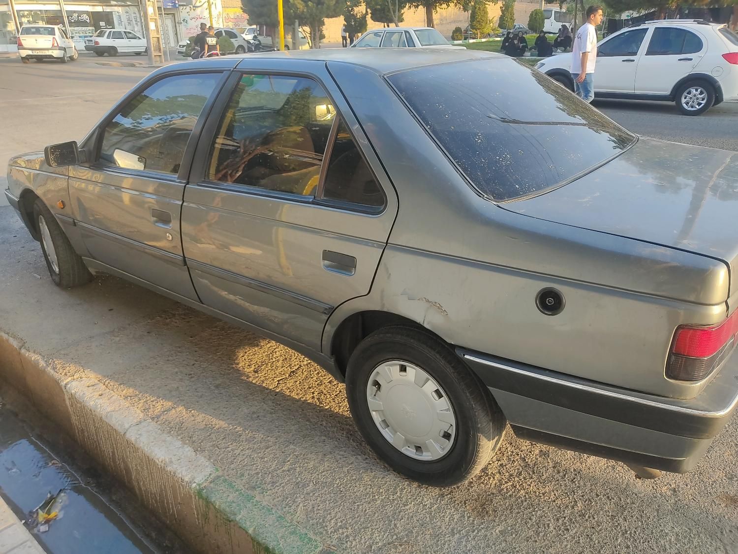 پژو 405 GLX - دوگانه سوز - 1389