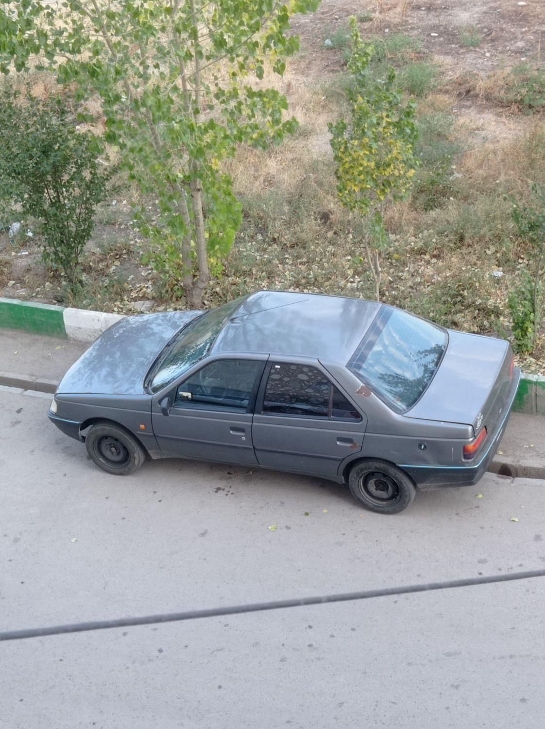پژو روآ G2 دوگانه سوز - 1390