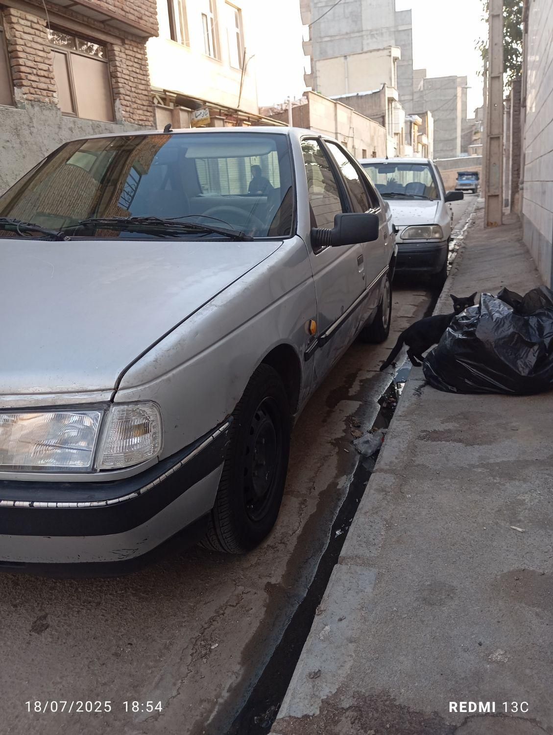 پژو 405 GLX - دوگانه سوز - 1389