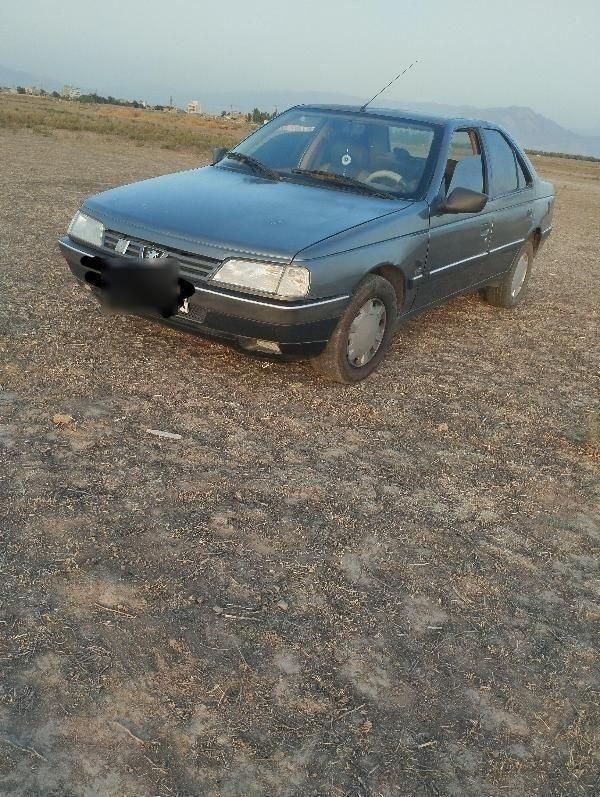 پژو 405 GLX - دوگانه سوز - 1390