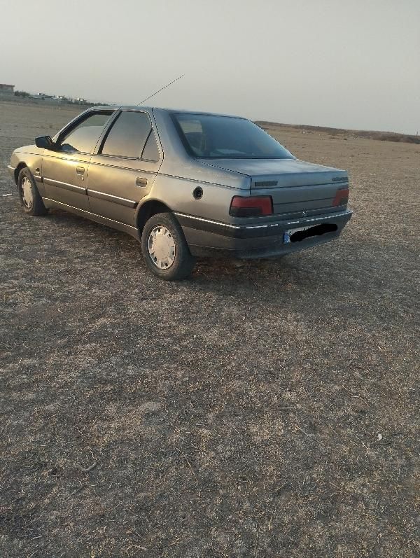 پژو 405 GLX - دوگانه سوز - 1390