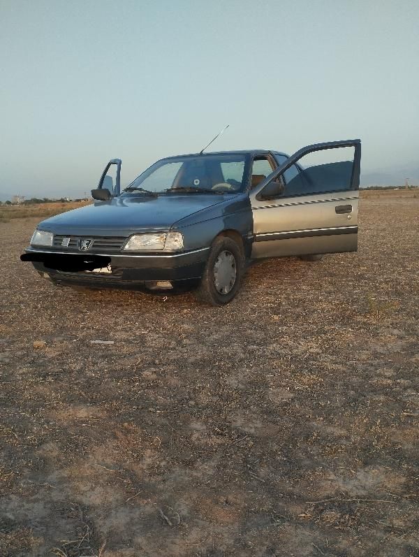 پژو 405 GLX - دوگانه سوز - 1390