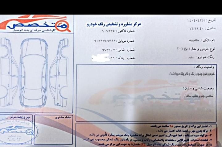 پژو 206 تیپ 5 - 1393