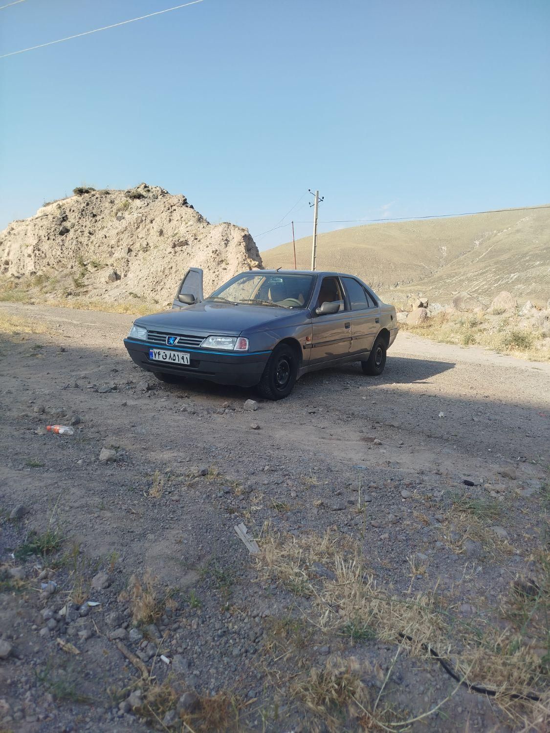 پژو 405 GLX - دوگانه سوز - 1396