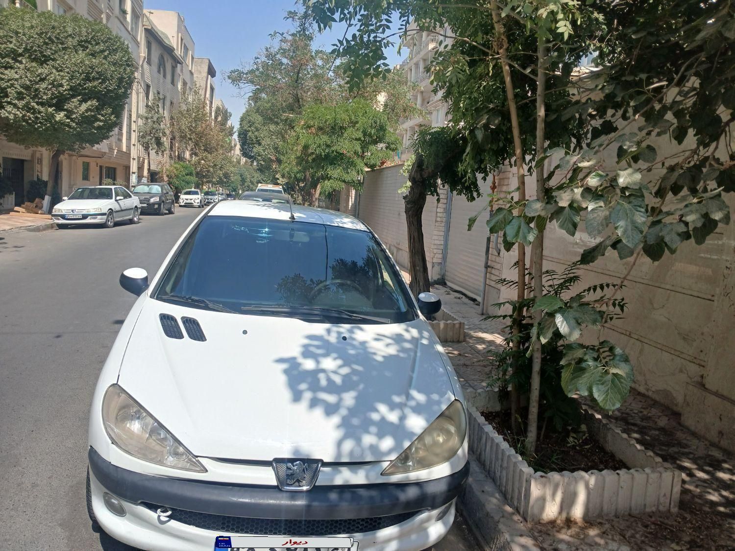 پژو 206 تیپ 5 - 1394