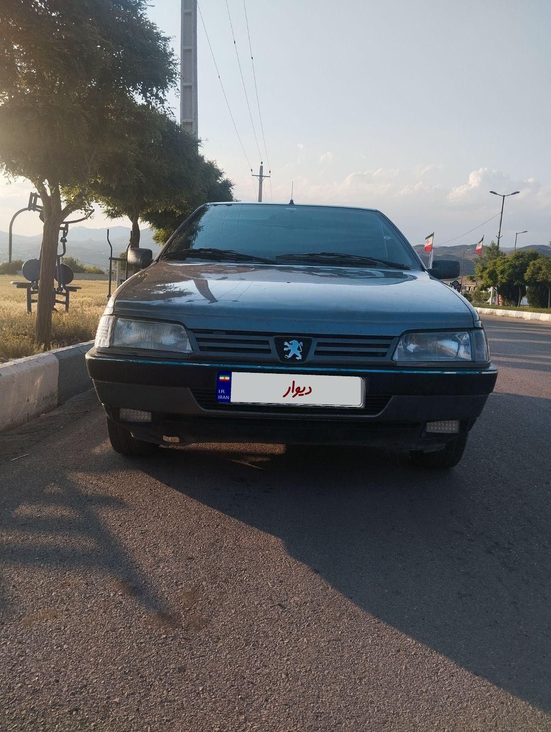 خودرو پژو، 405 آگهی ann_19381293