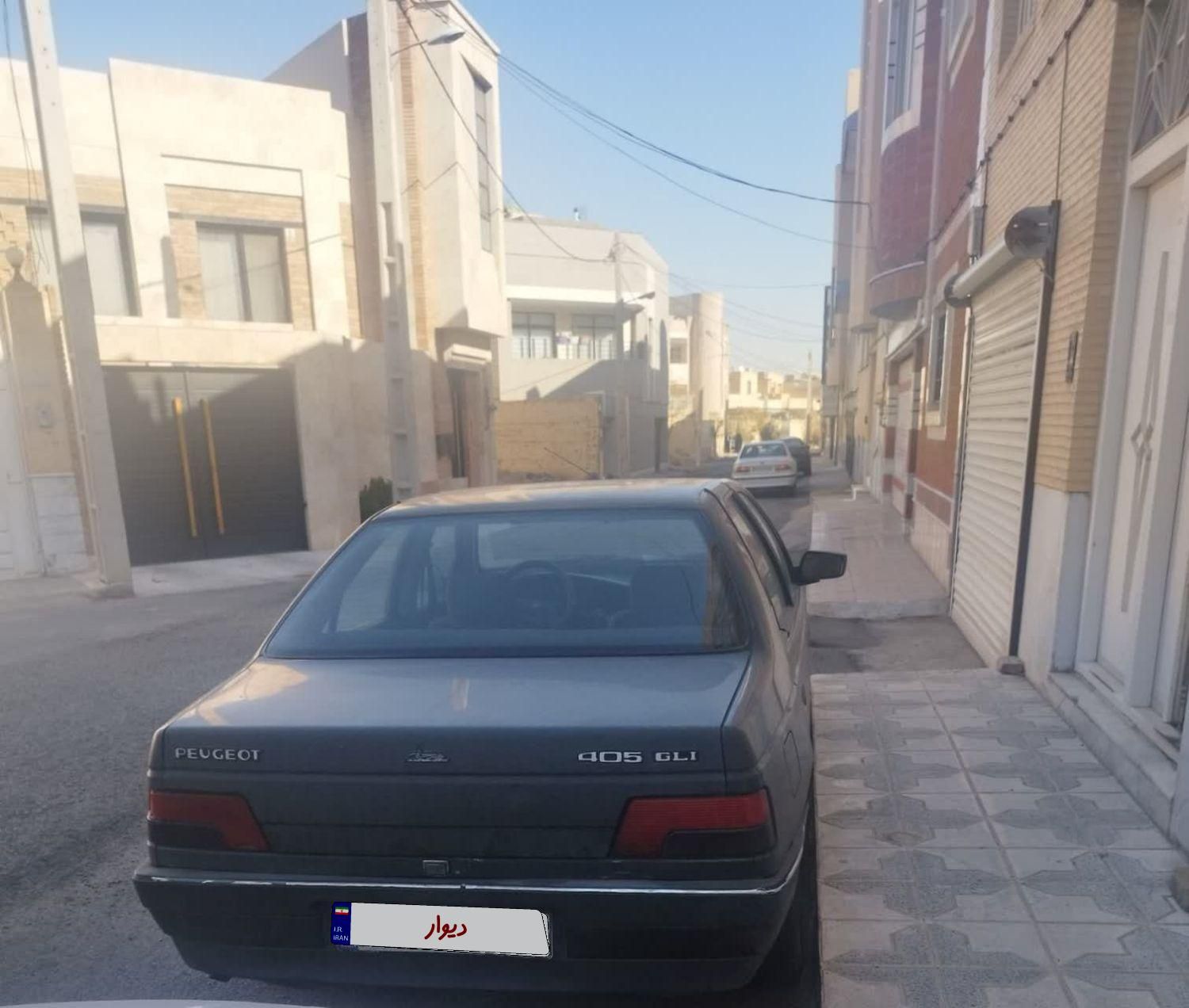 پژو 405 GLI - دوگانه سوز CNG - 1384
