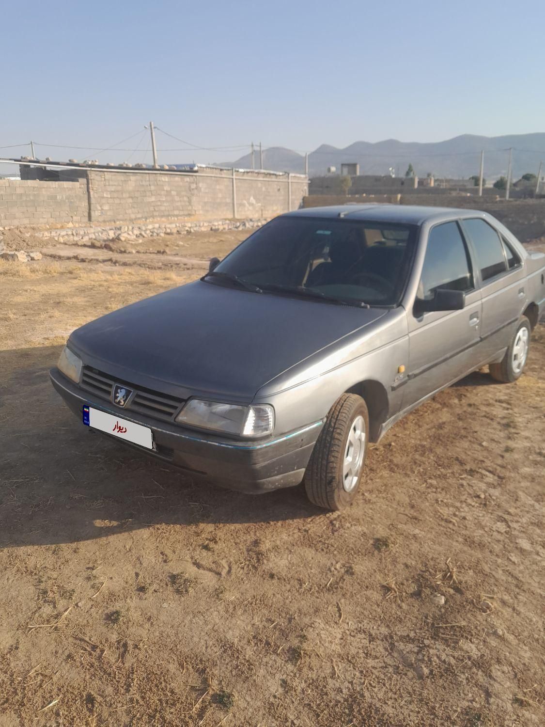 پژو 405 GLX - دوگانه سوز - 1391
