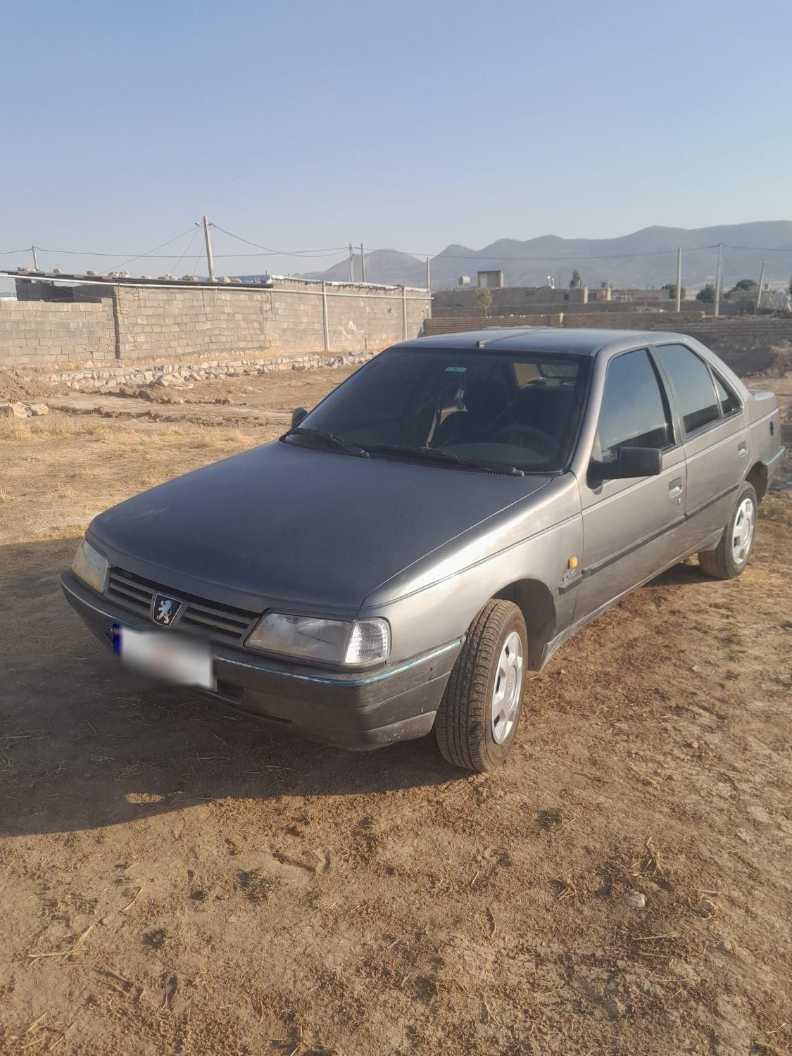 پژو 405 GLX - دوگانه سوز - 1391