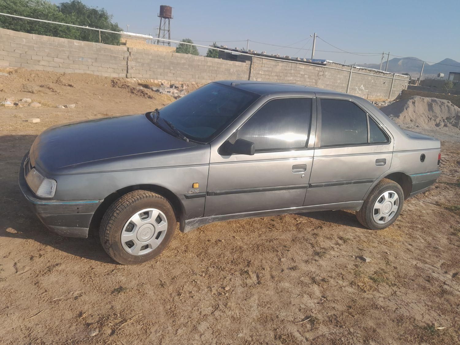 پژو 405 GLX - دوگانه سوز - 1391