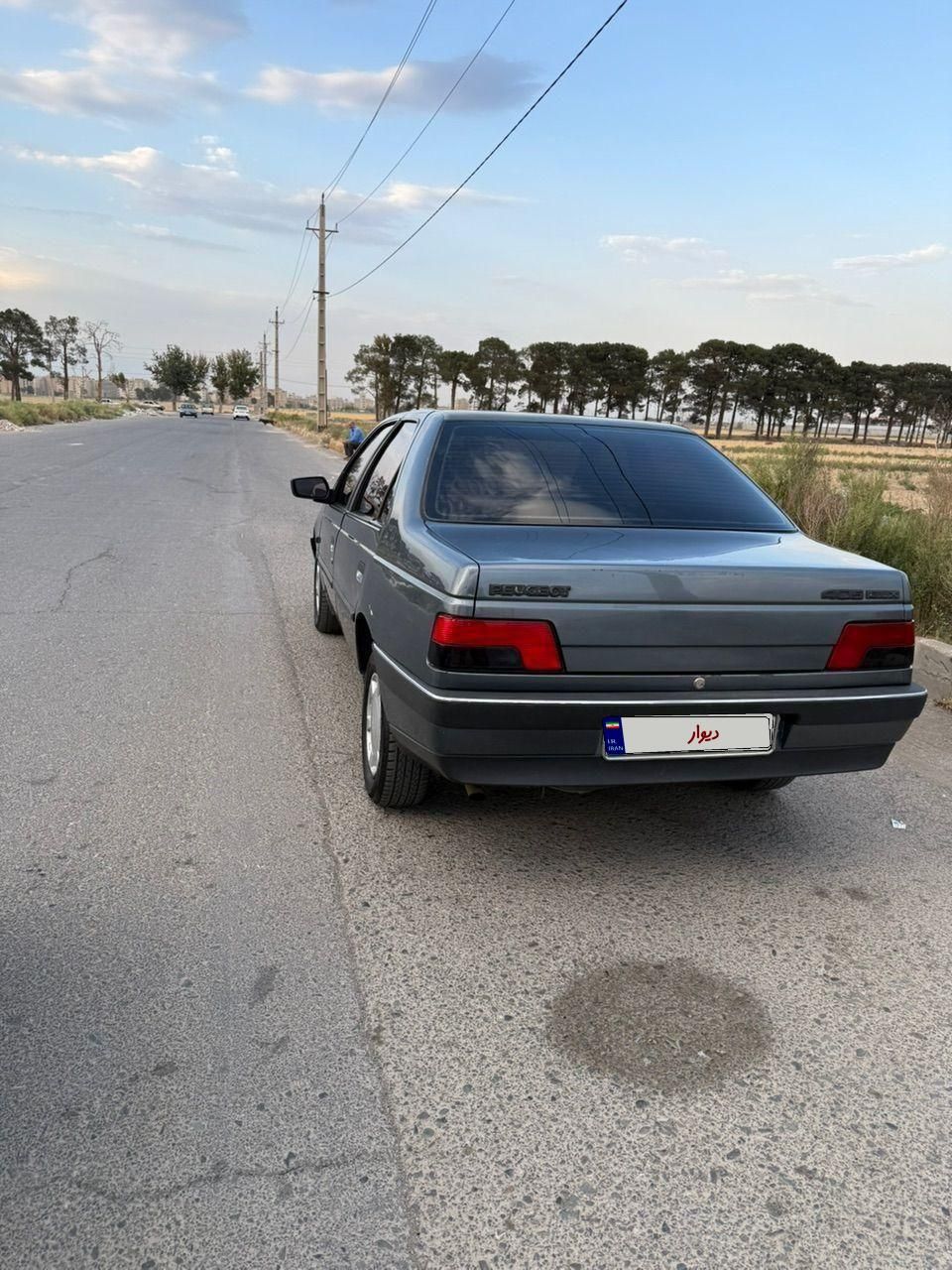 پژو 405 GLX - 1396