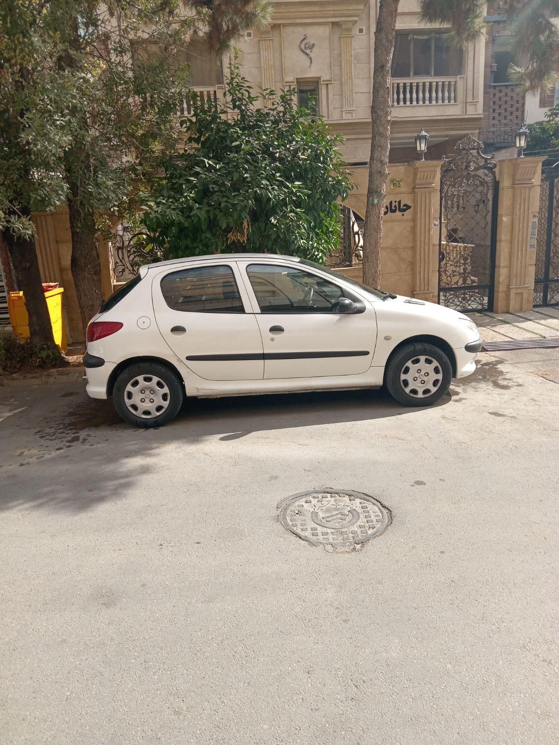 پژو 206 تیپ 2 - 1399