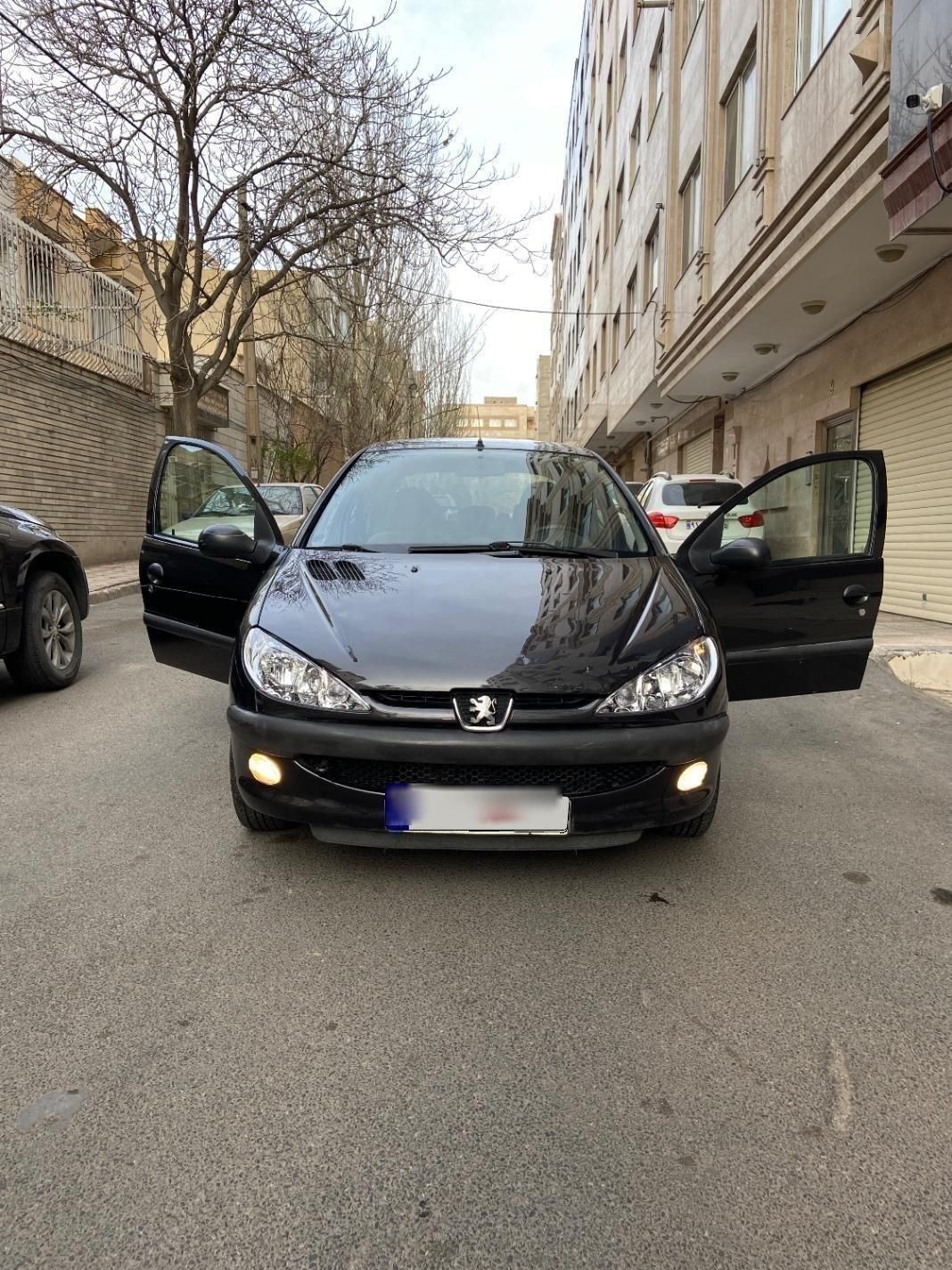 پژو 206 تیپ 5 - 1393