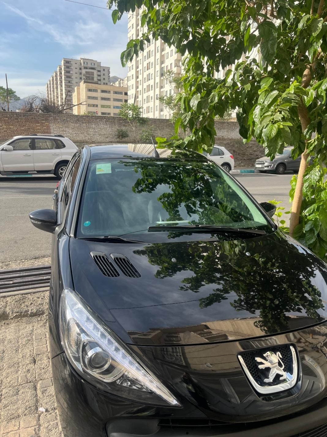 خودرو پژو، 207 آگهی ann_19387215