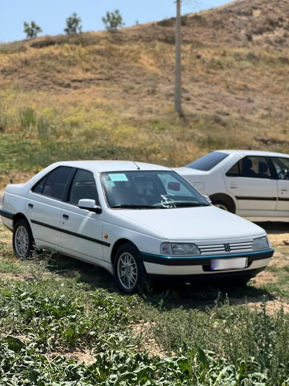 پژو 405 GLX - 1386